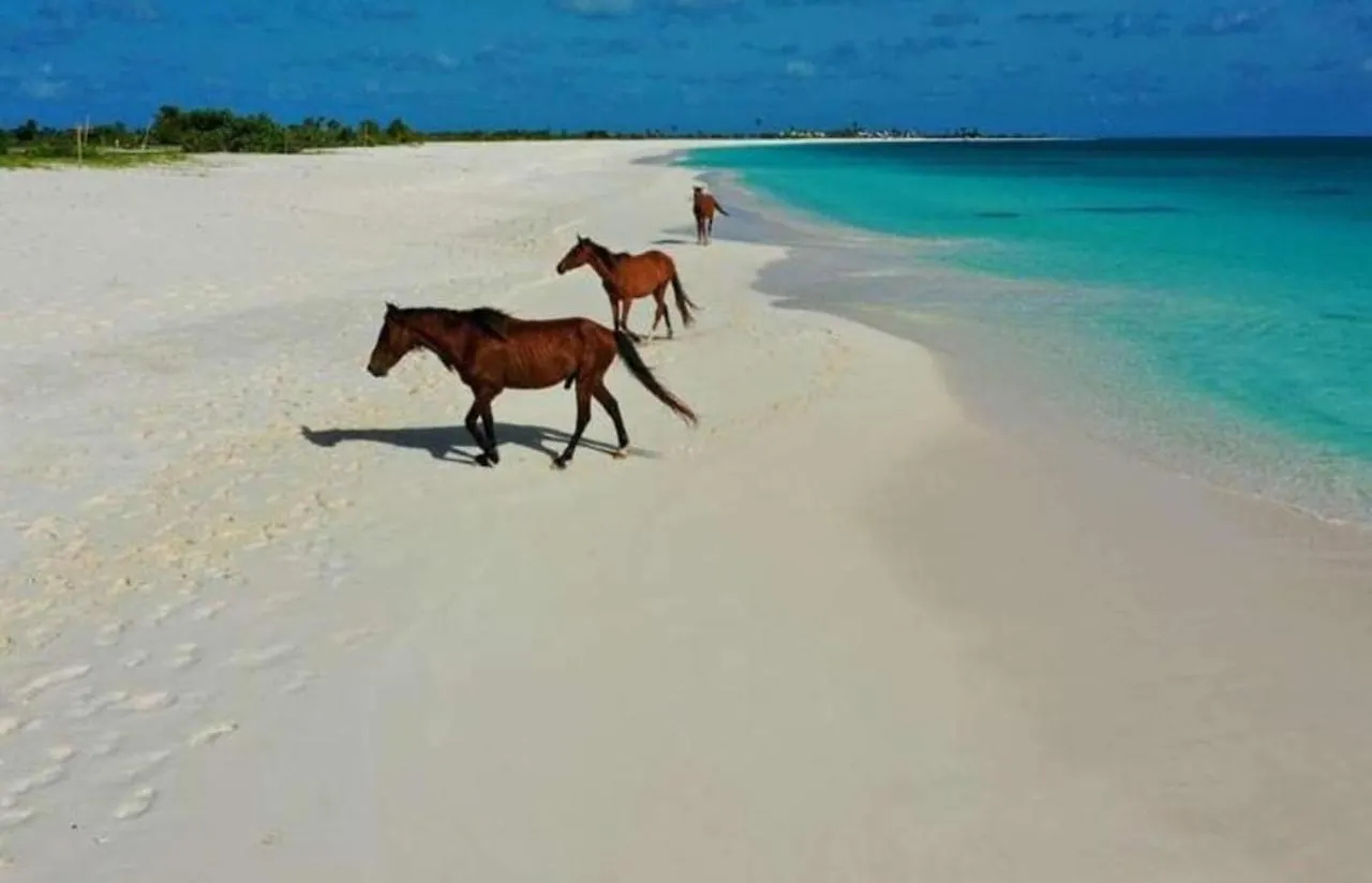 Charming 1-Bed Cottage In Codrington Barbuda 0*,  Antigua ve Barbuda